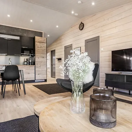 Arctic Aurora Louhi B By Hilla Villa Kittilä